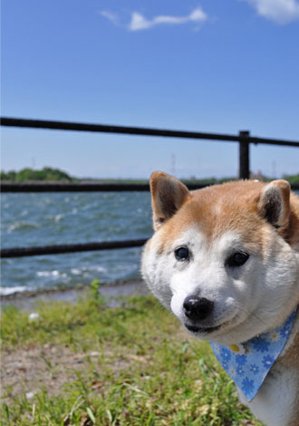 13日ブログ19.jpg