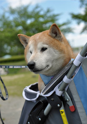 13日ブログ6.jpg