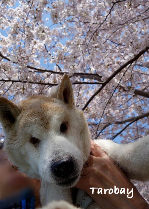 3日ブログ５