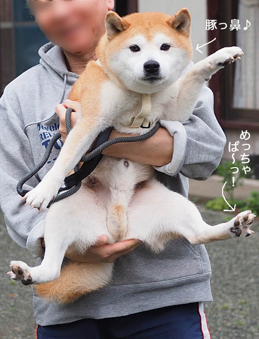 2日ブログ８