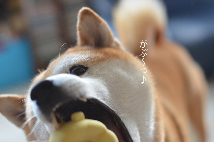 14日ブログ6