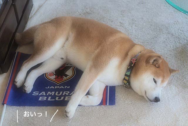 29日ブログ3