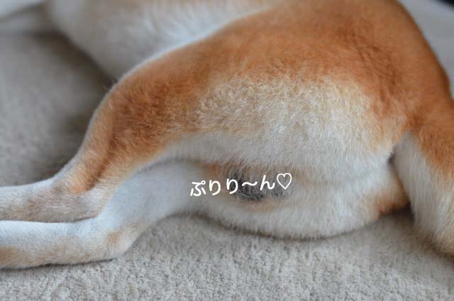 10日ブログ7