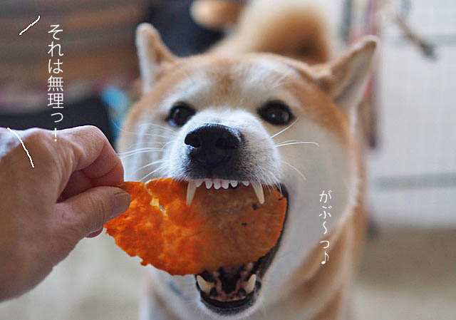16日ブログ9