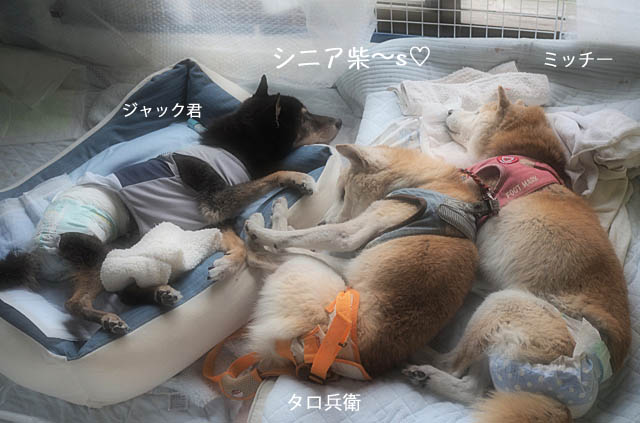 26日ブログ2
