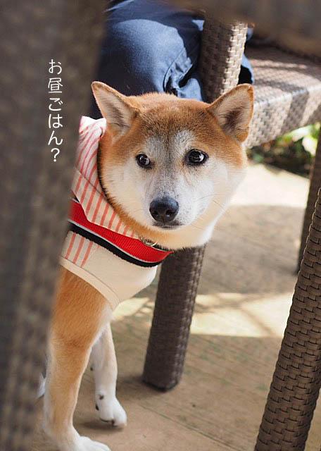 29日ブログ8