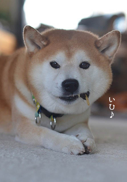 10日ブログ11