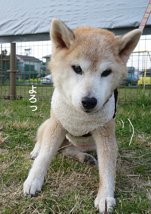 1日午後ブログ４