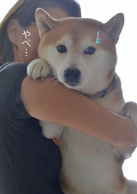 16日ブログ2