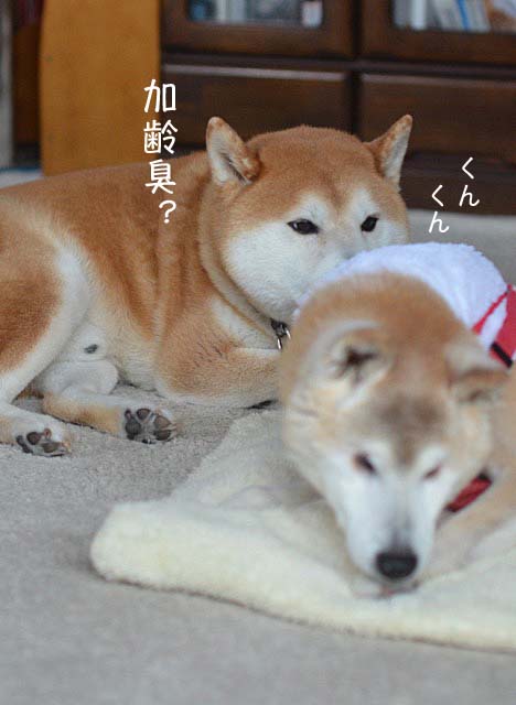 14日ブログ6