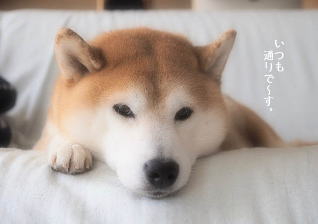 16日ブログ3