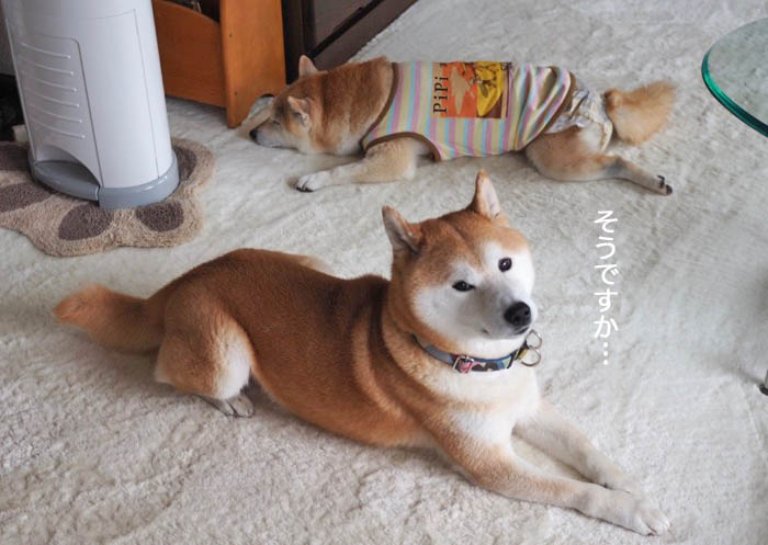 17日ブログ５