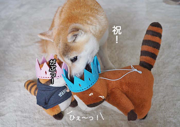 27日ブログ８
