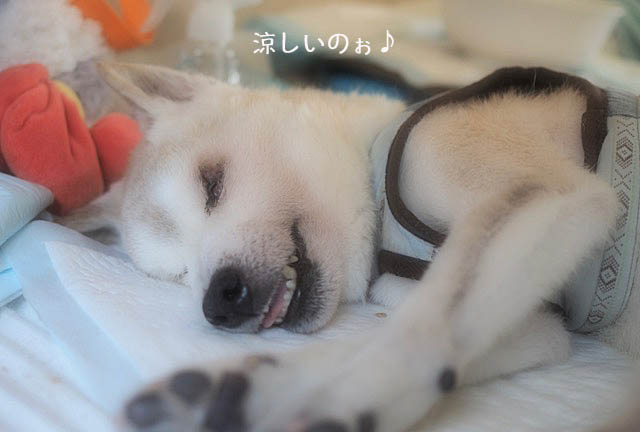 7日ブログ9