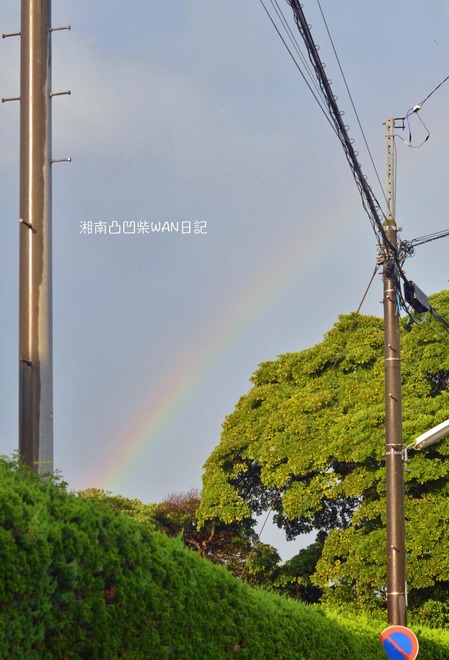 5日ブログ13