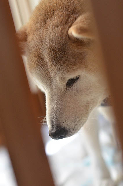 2日ブログ4