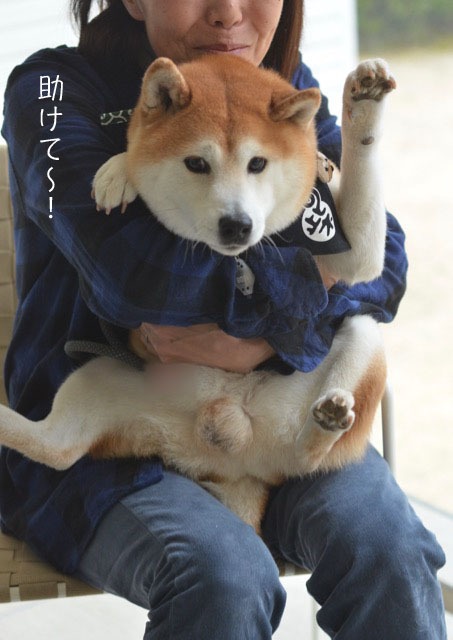 8日ブログ12