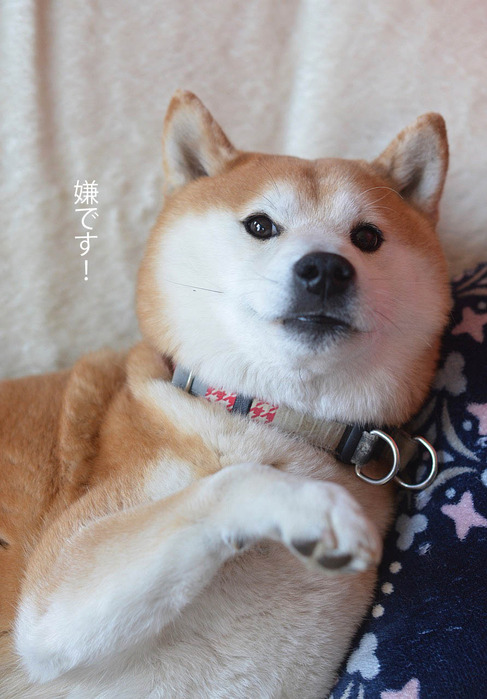 18日ブログ3