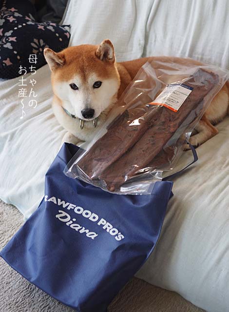 3日ブログ2
