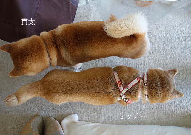 8日ブログ7