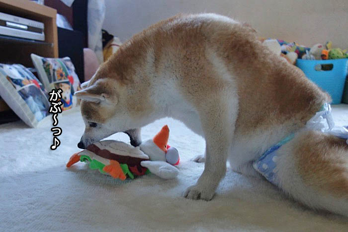 5日先ブログ１