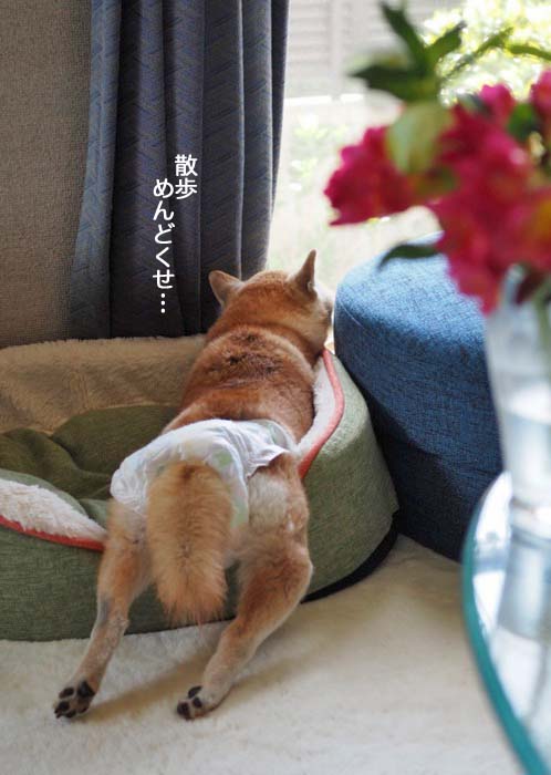 12日午後ブログ９