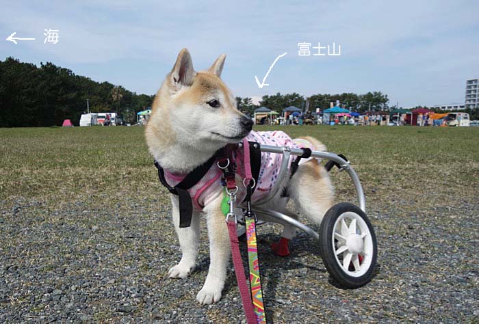 14日ブログ２