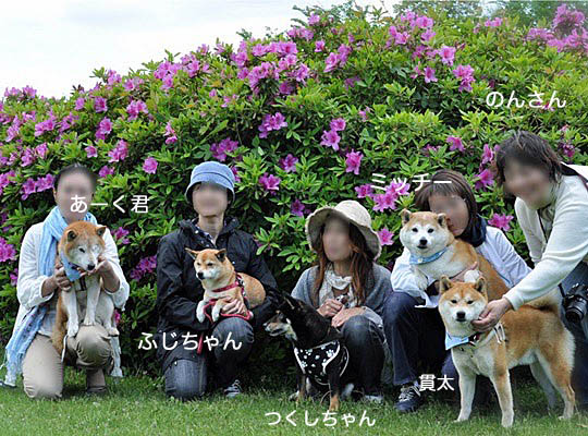 30日ブログ７