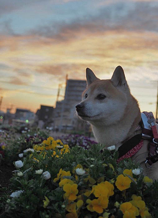 1日午後ブログ１０