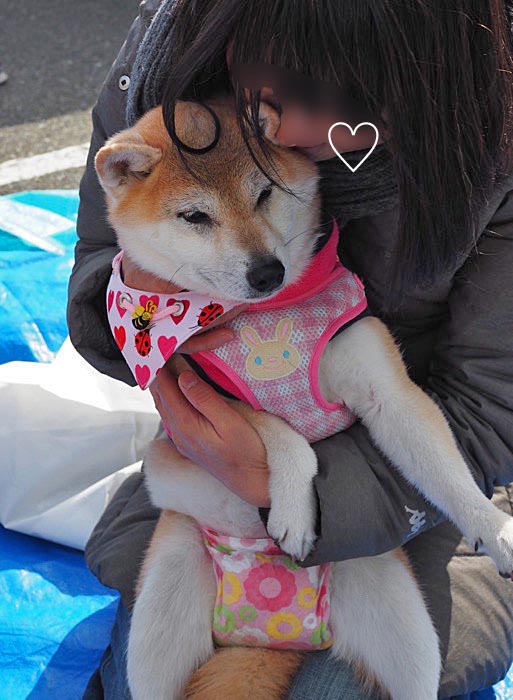10日ブログ4