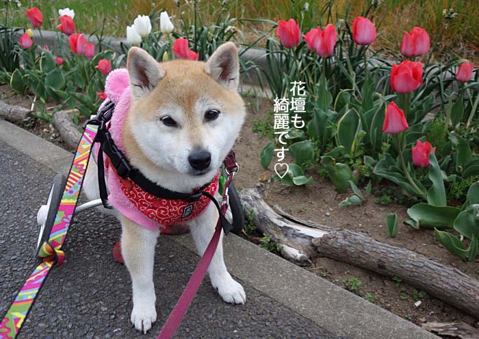 2日午後ブログ７
