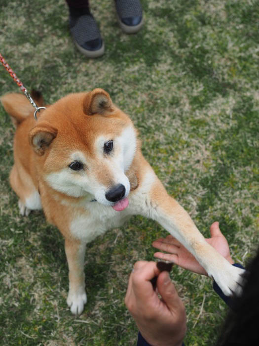 15日ブログ１２