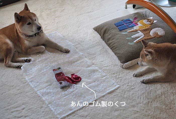 9日夜ブログ３