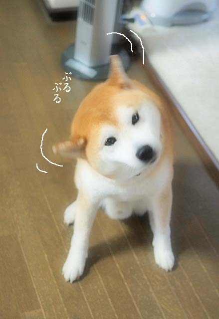 4日ブログ3