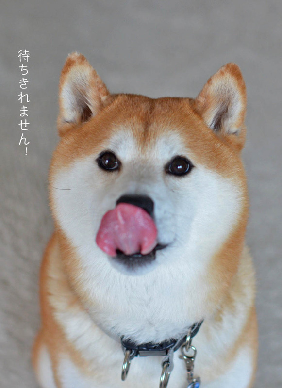 21日ブログ4