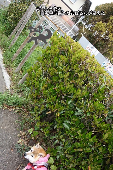 30日午後ブログ３