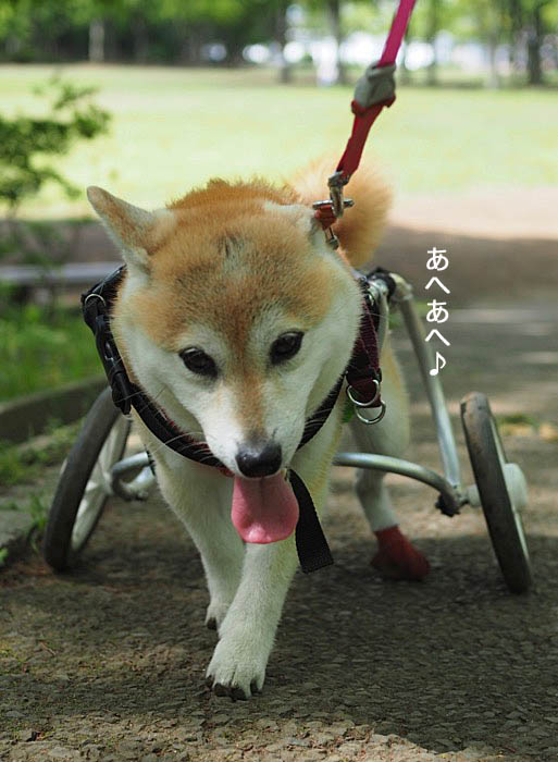 9日ブログ６