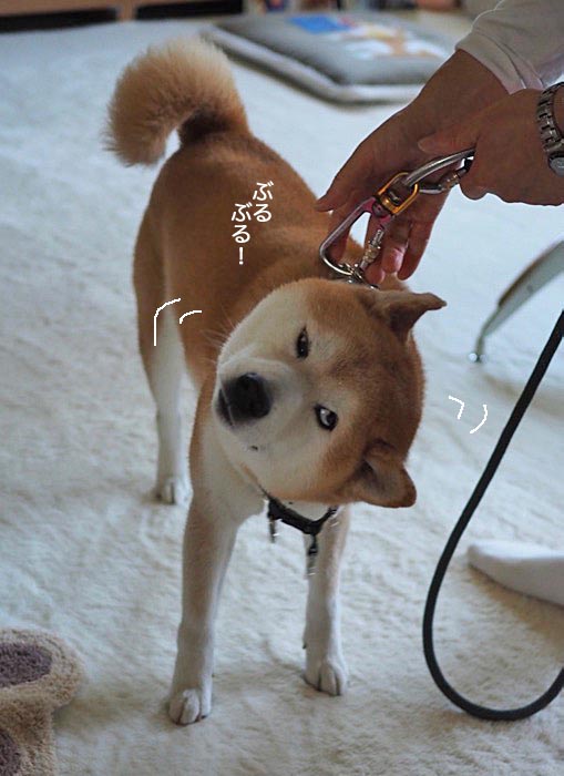 8日ブログ３