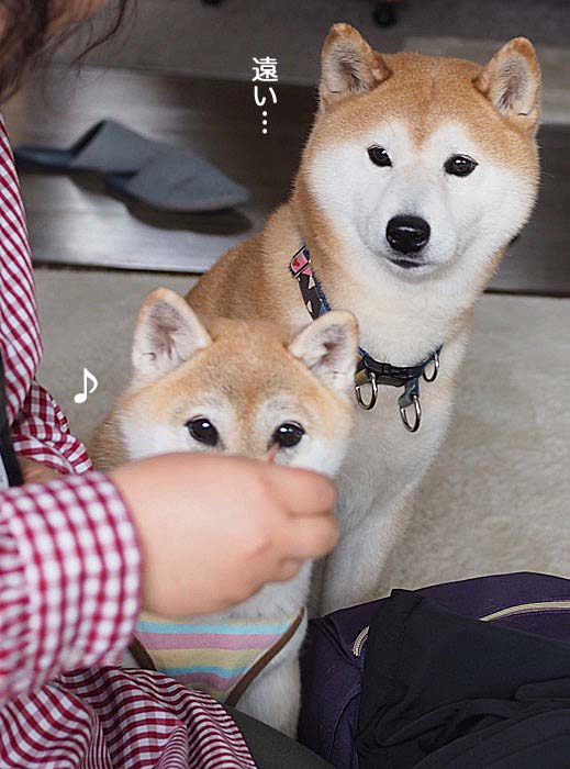 17日夜ブログ６