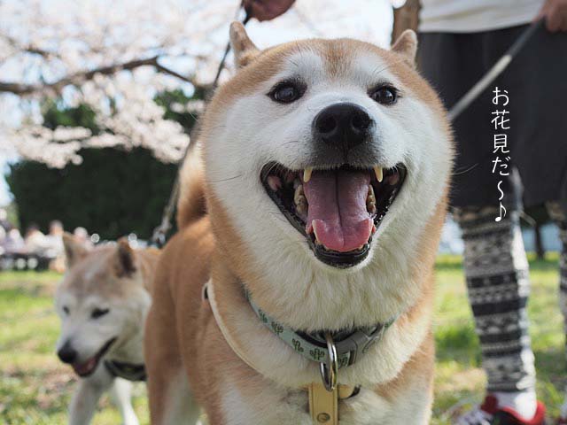 6日ブログ6