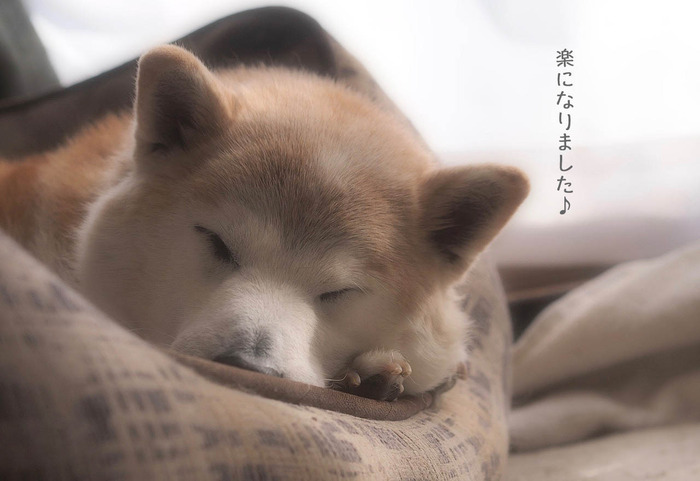 22日ブログ6