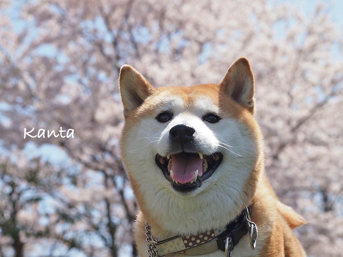 18日ブログ5