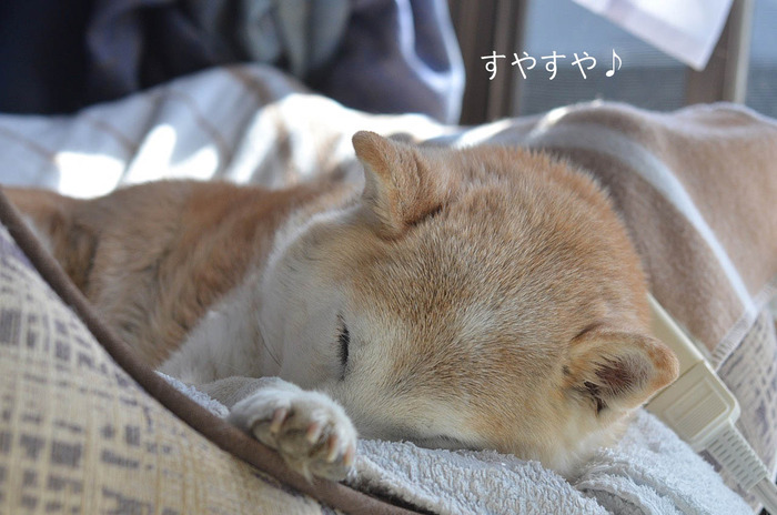 10日ブログ4