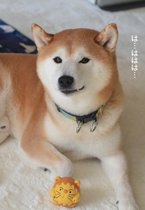 30日ブログ12