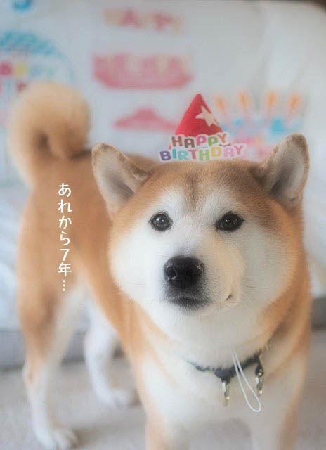 23日ブログ3