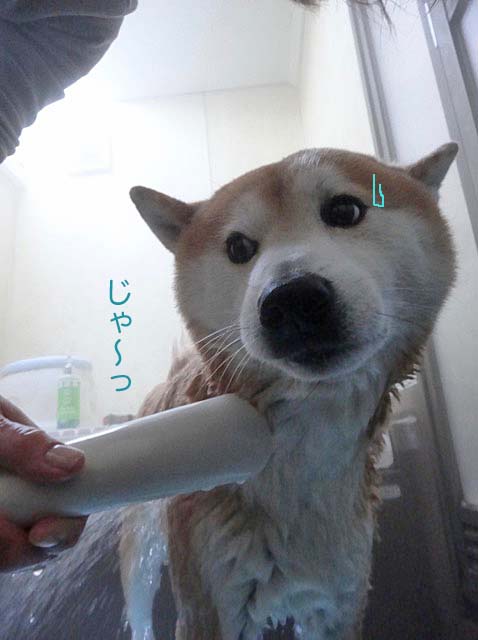 16日ブログ4