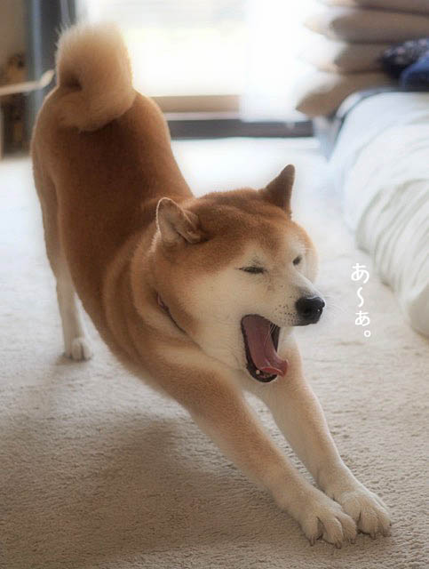 12日ブログ4