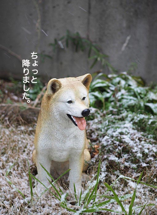 10日朝ブログ1