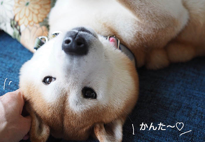 10日ブログ８