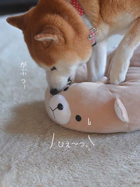 10日のブログ4